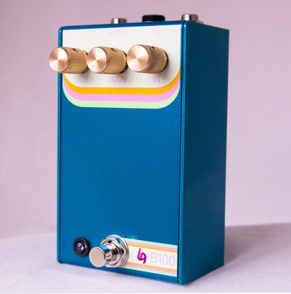 B100
